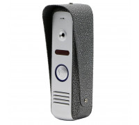 Вызывная панель AltCam VP8001 Silver