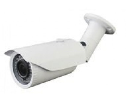 IP Видеокамера AltCam ICV24IR