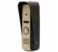 Вызывная панель AltCam VP8001 Gold