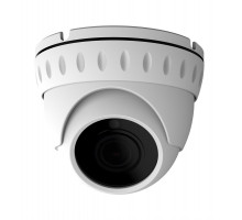 HD Видеокамера AltCam DDMV81IR
