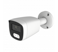 IP Видеокамера AltCam ICF41IR