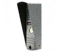 Вызывная панель AltCam VP6001 Silver