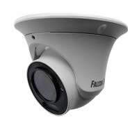 IP видеокамера Falcon Eye FE-IPC-DV2-40pa