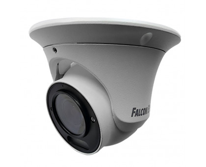 IP видеокамера Falcon Eye FE-IPC-DV2-40pa